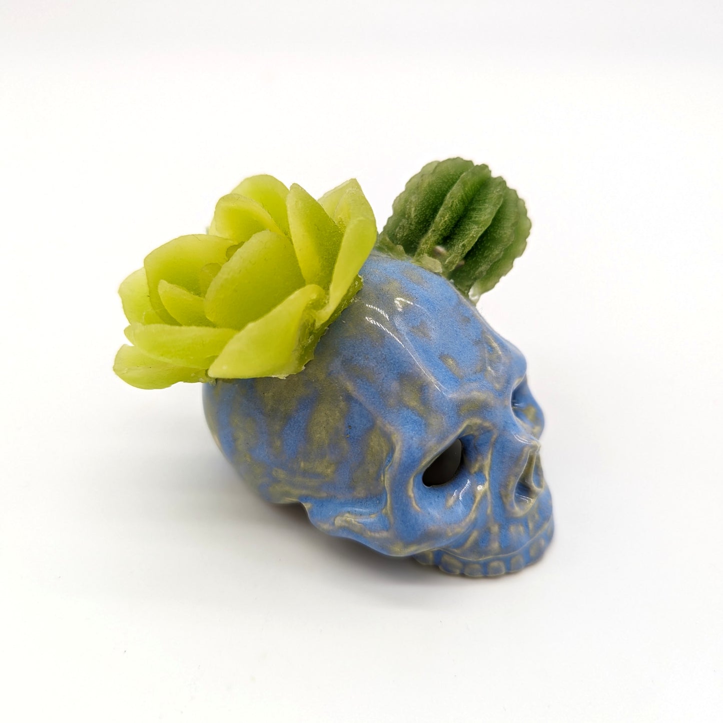 Succulent Skull Tarts