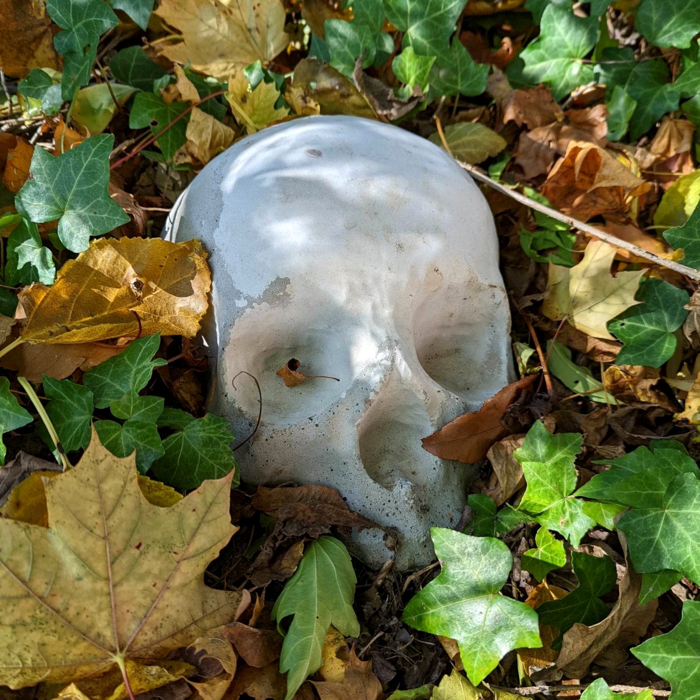 Cement Garden Skulls