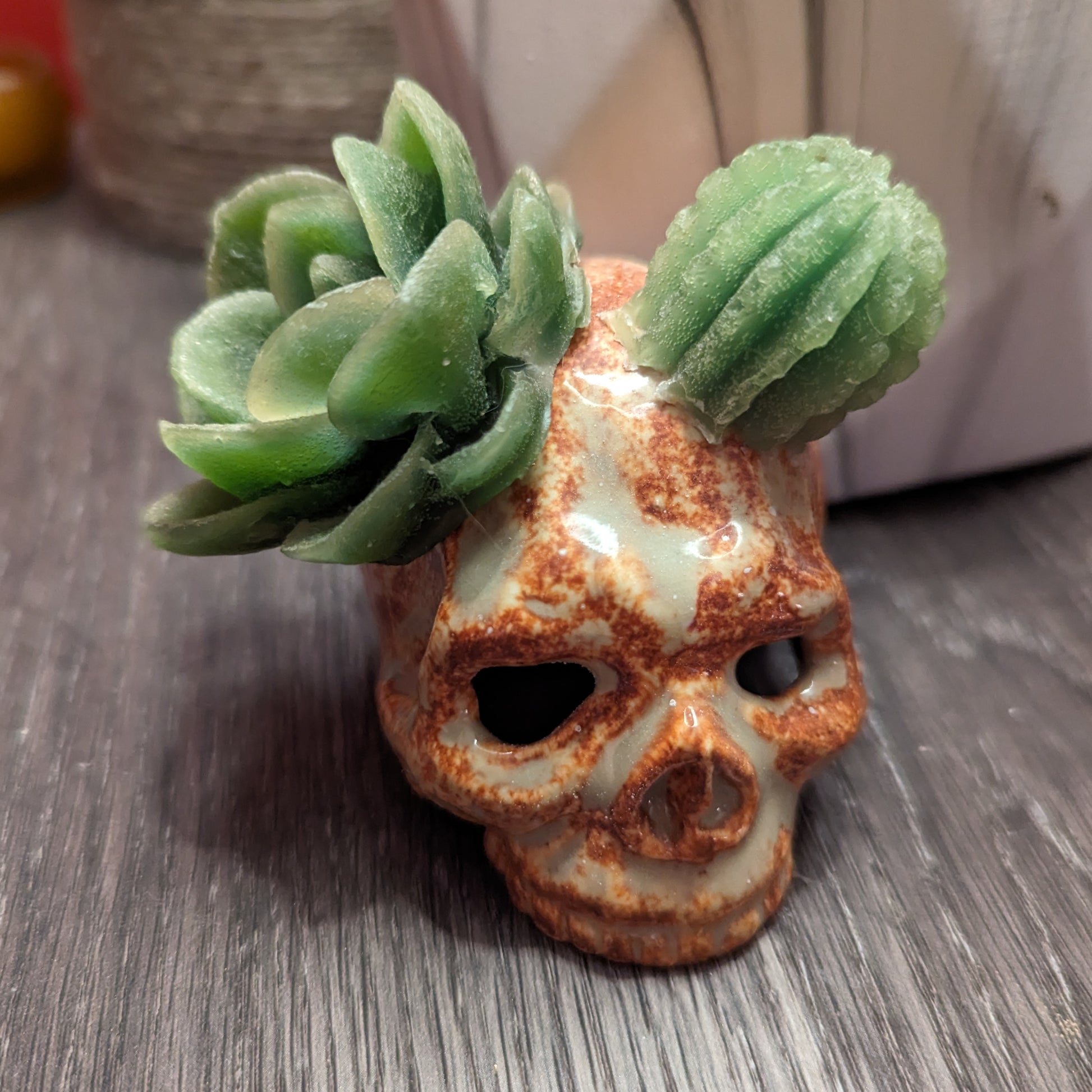 succulent skull Succulent Skull Tarts – UtilitarianByAlexandria