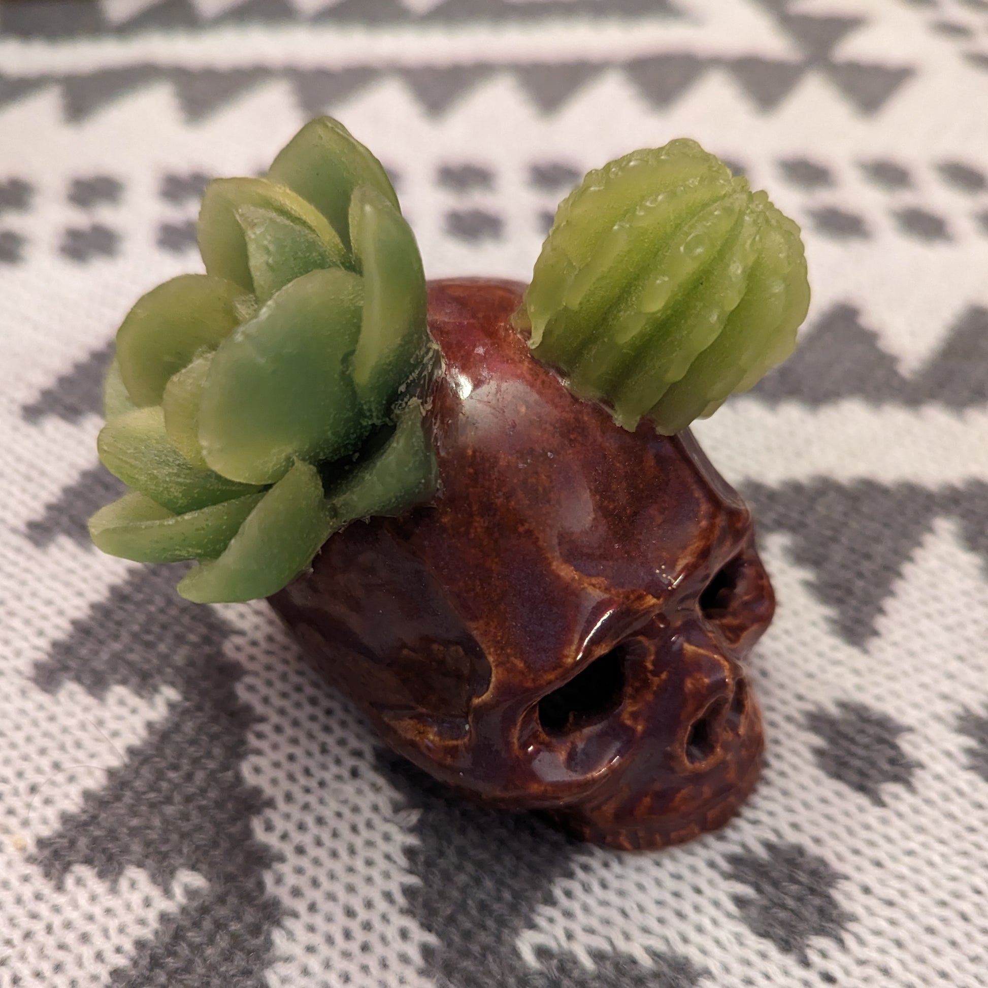 succulent tart Succulent Skull Tarts – UtilitarianByAlexandria