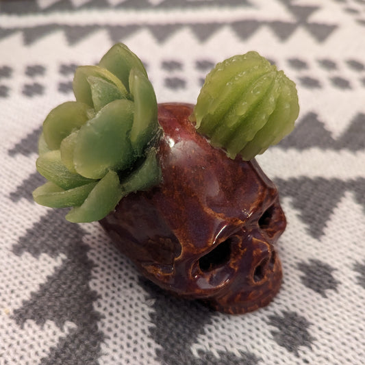 Succulent Skull Tarts