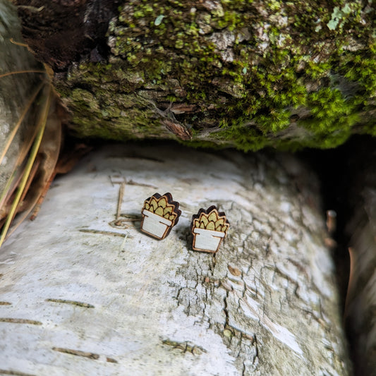 Hand-painted Wooden Potted Succulent Studs