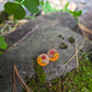 Hand Painted Mountain Range Wood Studs